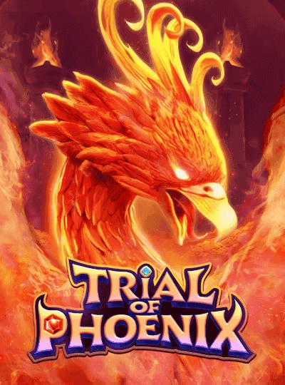 Dragon Tiger live casino game cover
